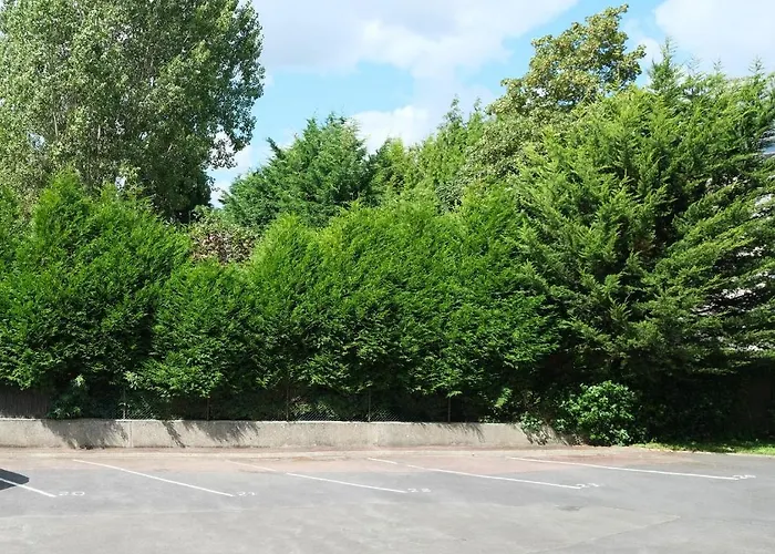 Apartment Le Jockey - Sipco Immobilier - Centre *