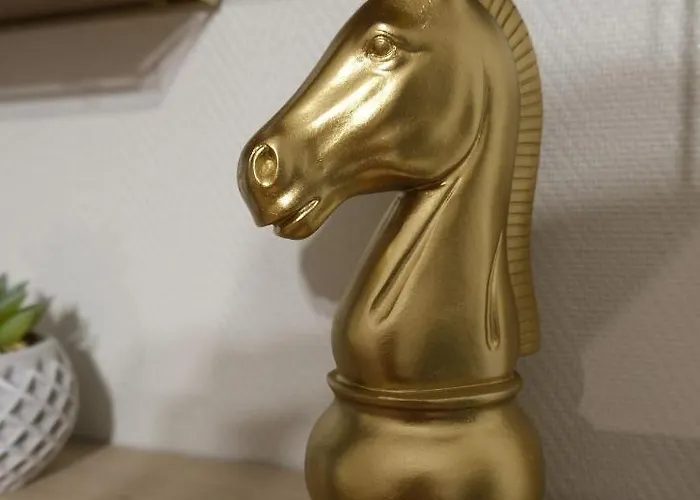 Le Jockey - Sipco Immobilier - Centre Apartment *